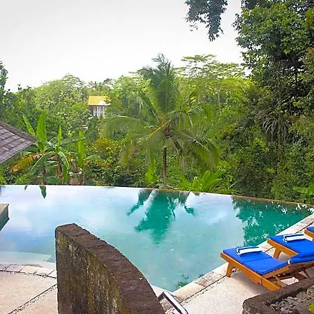 Jungle View Villa - 1 Bedroom With Swimming Pool