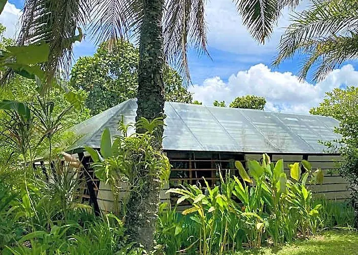 Jungle View - 1 Bedroom With Swimming Pool *