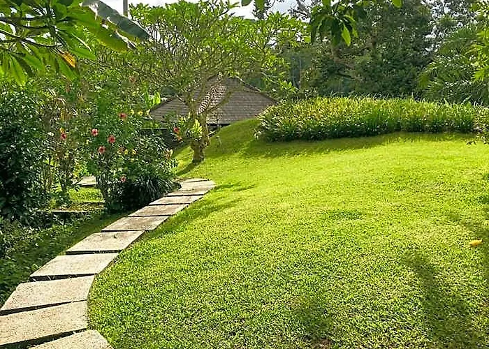 Jungle View - 1 Bedroom With Swimming Pool Villa Pejeng